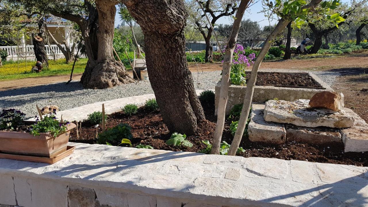 Il Trullo Di Nonna Lella Castellana Grotte Exterior foto