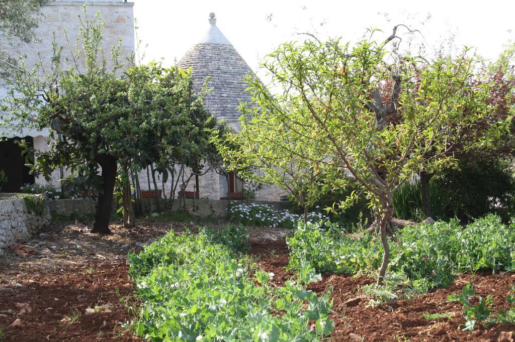 Il Trullo Di Nonna Lella Castellana Grotte Exterior foto