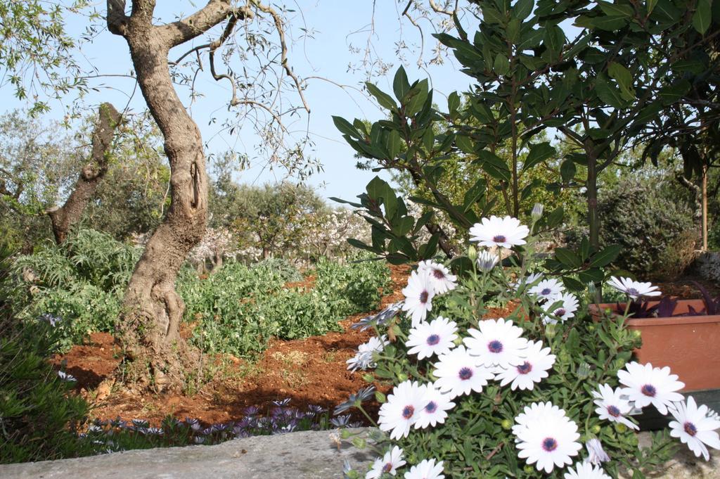 Il Trullo Di Nonna Lella Castellana Grotte Exterior foto