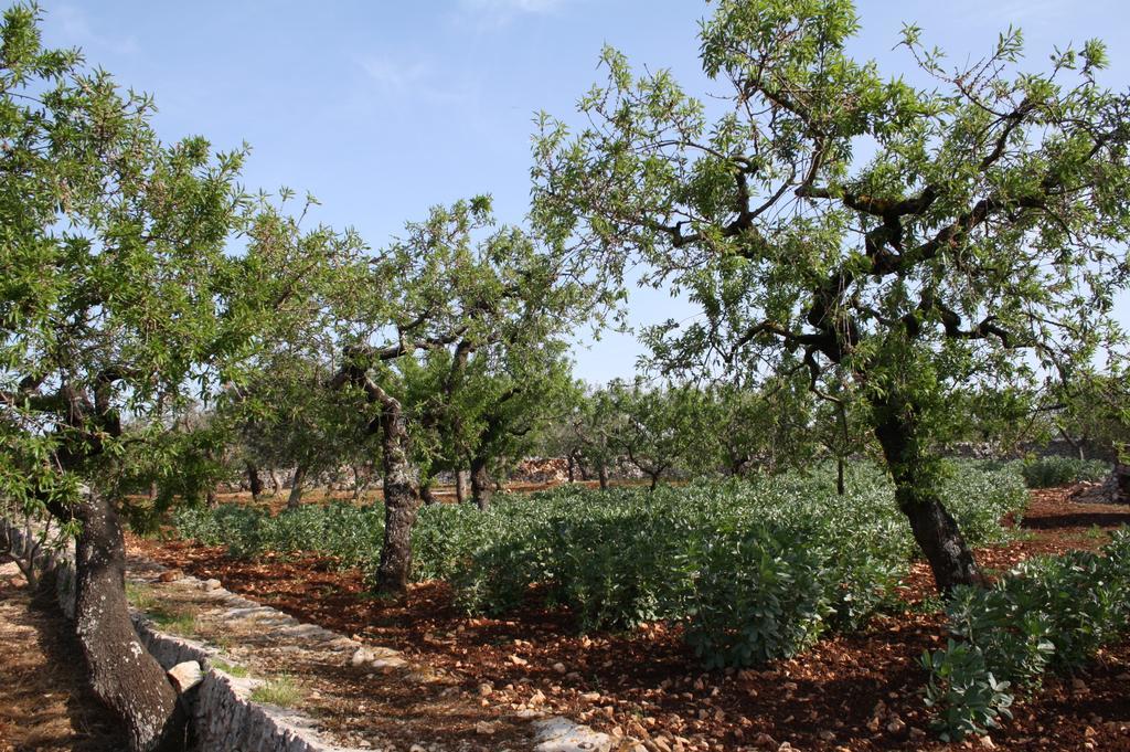 Il Trullo Di Nonna Lella Castellana Grotte Exterior foto